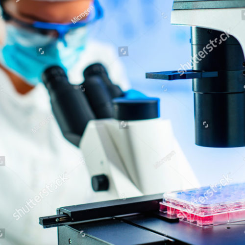 stock-photo–stem-cell-researcher-working-in-laboratory-1126848905